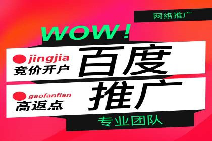 百度推广在电商行业的应用案例分析