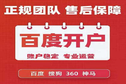SEM广告投放的竞价策略与效果评估案例